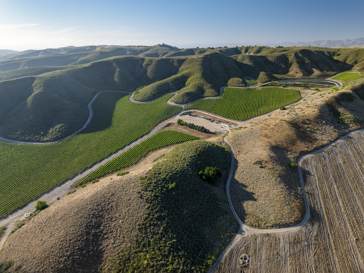 Loma Verde 2026 - Web-22.png