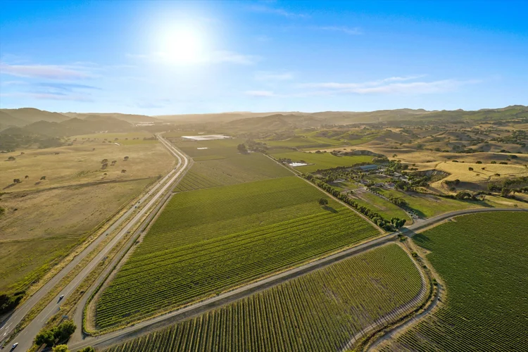 Carrari Vineyard — property photograph 3