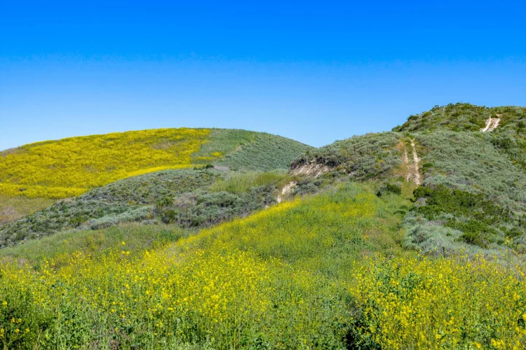 Santa Rita Ranch — property photograph 19