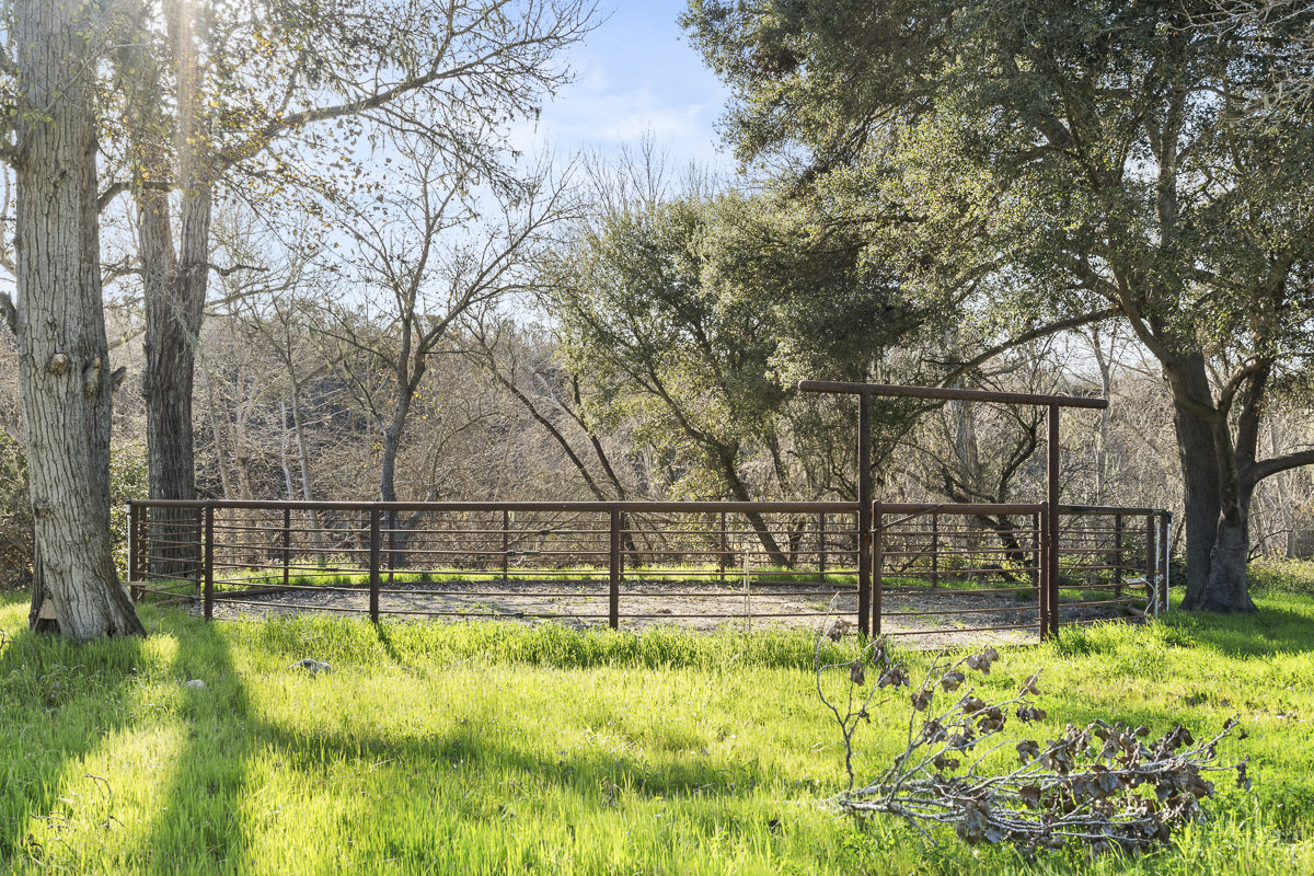 Big Bend Ranch - July 2026 - Web-052.png
