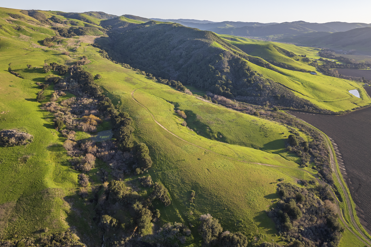 Big Bend Ranch - Ranch Land - Web-06.png