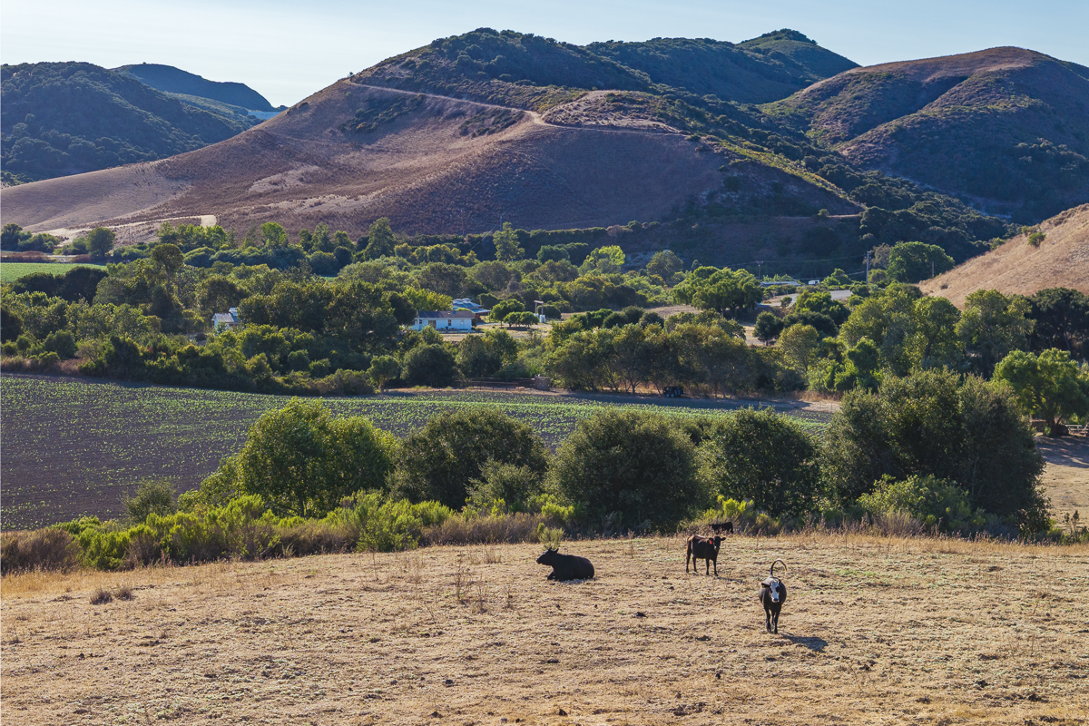 Big Bend Ranch - July 2026 - Web-084.png