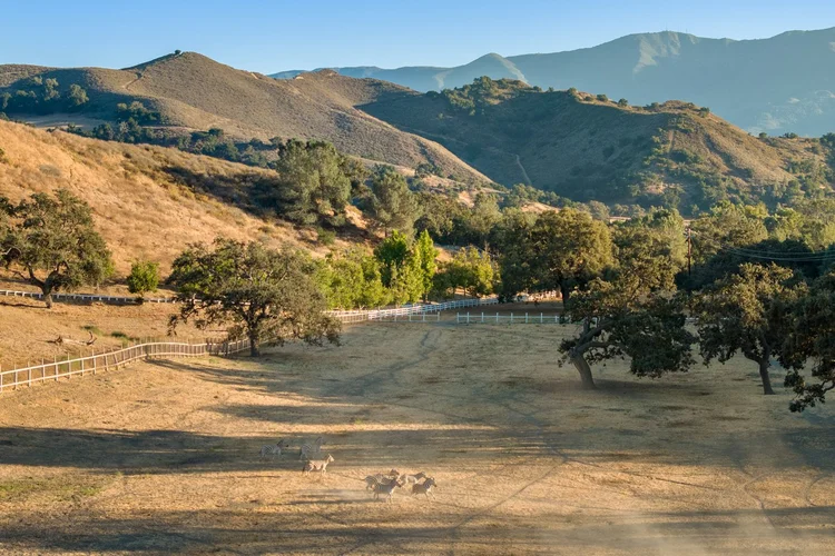 Circle K Front Ranch — property photograph 111