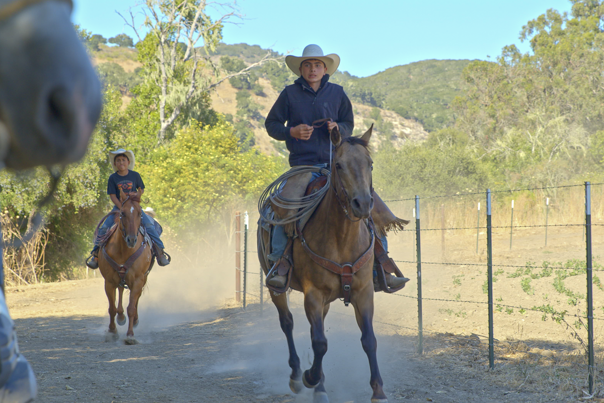 Big Bend Ranch - Working Country - Web-07.png