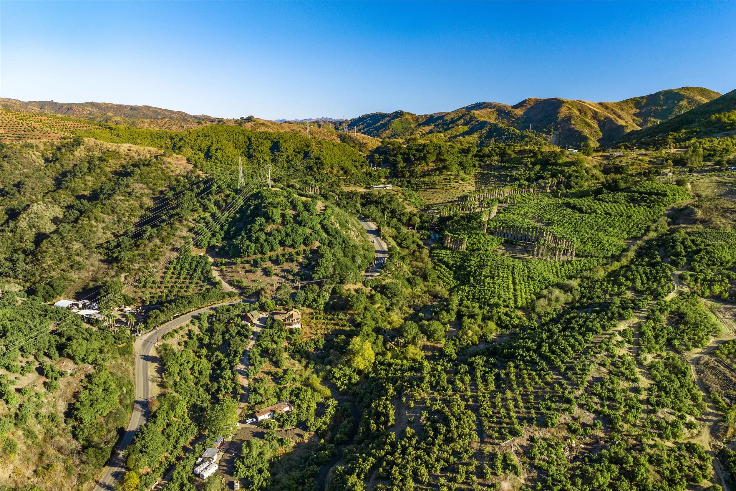 01-DJI_20241218145815_0228_D.jpg
