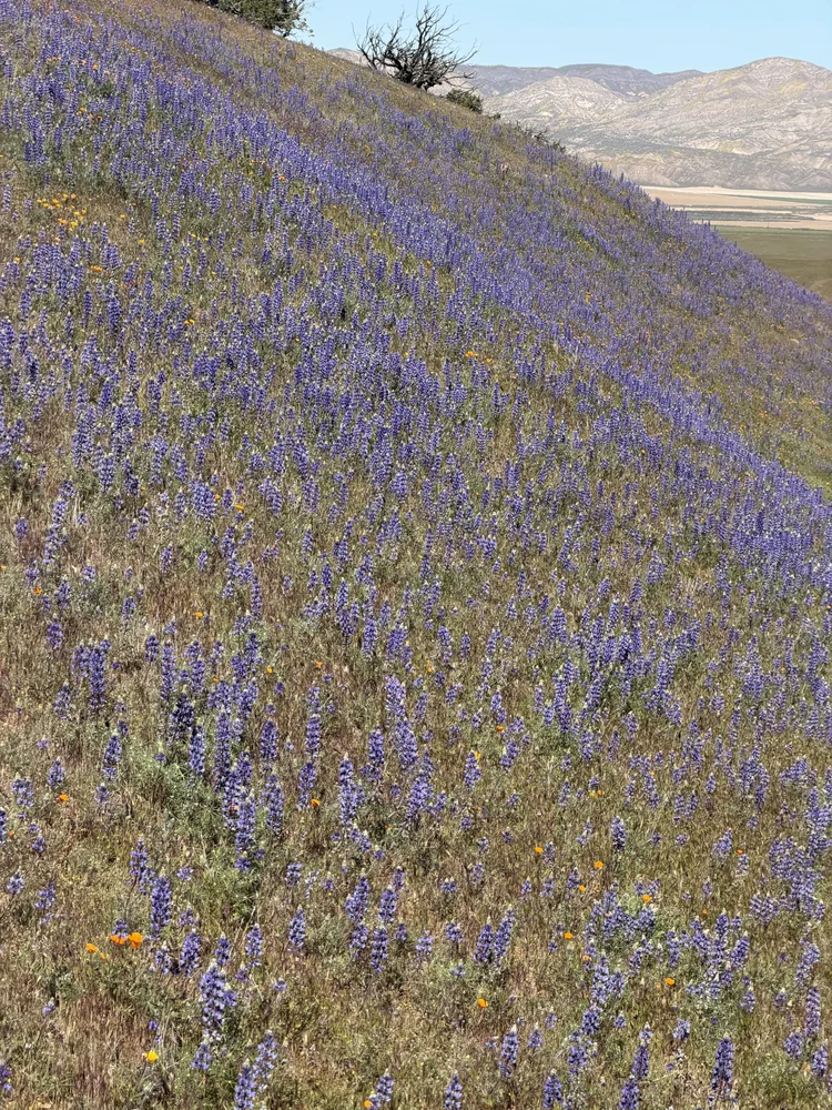 Wetzstein Ranch — property photograph 1