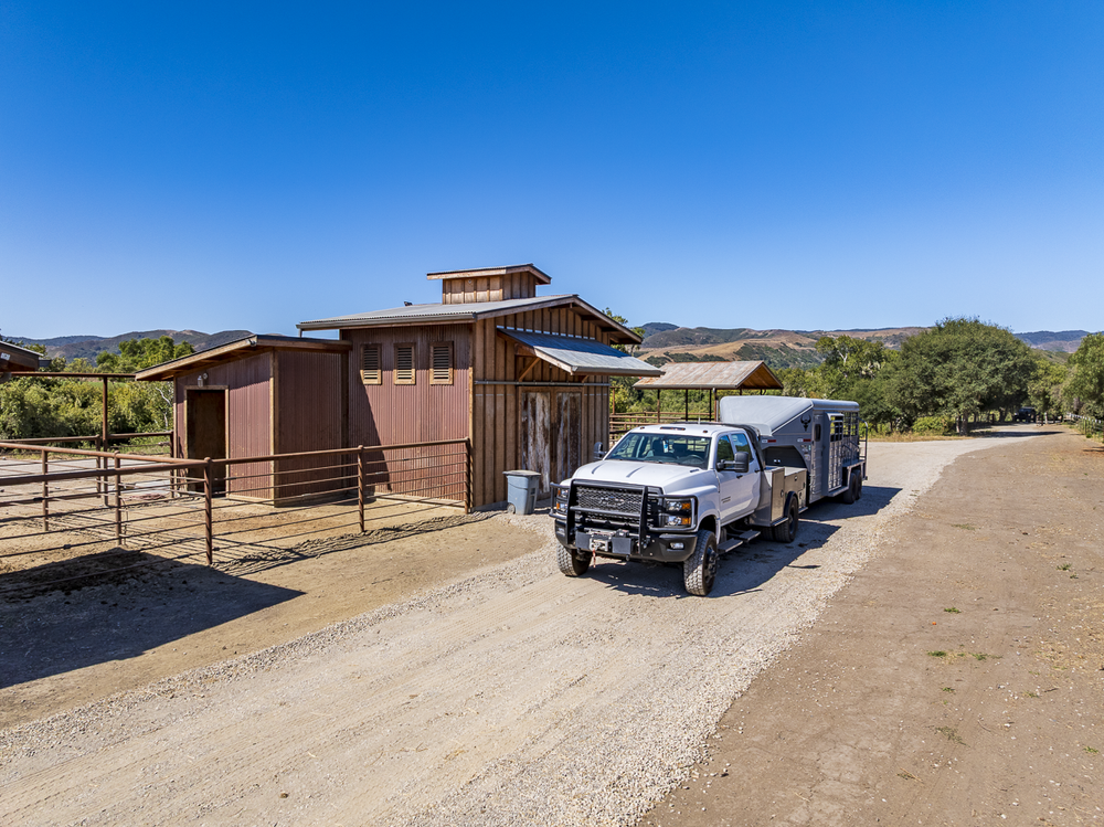 Big Bend Ranch — horse & cattle view 3