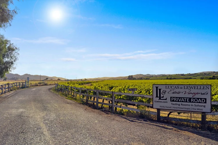Carrari Vineyard — property photograph 20