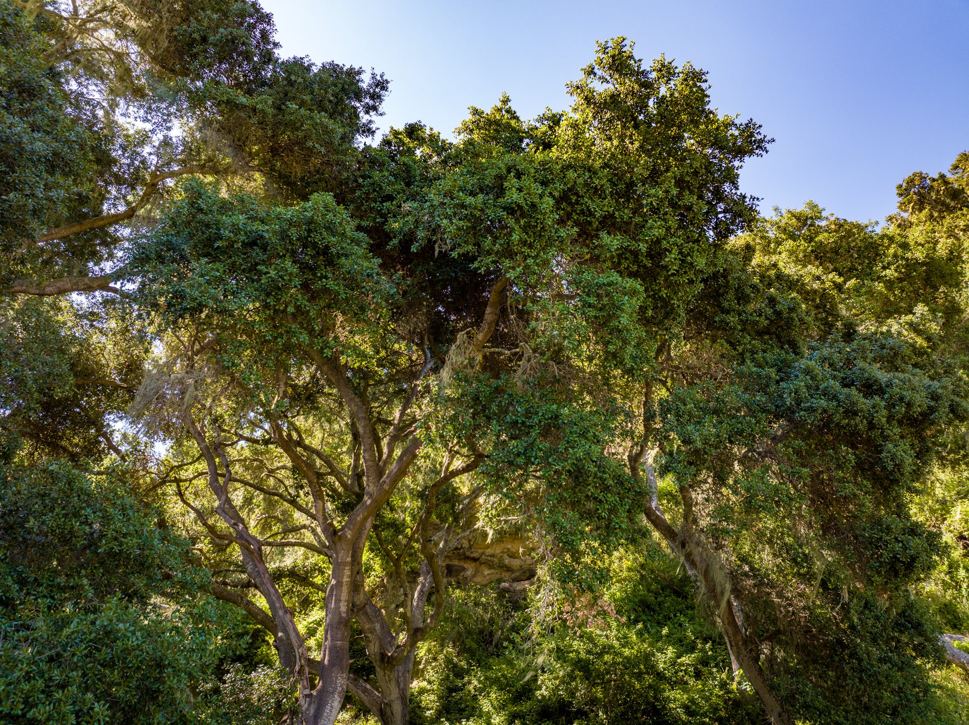 Ytias Ranch Web - 13.jpg