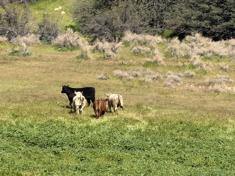 Wetzstein Ranch — property photograph 24