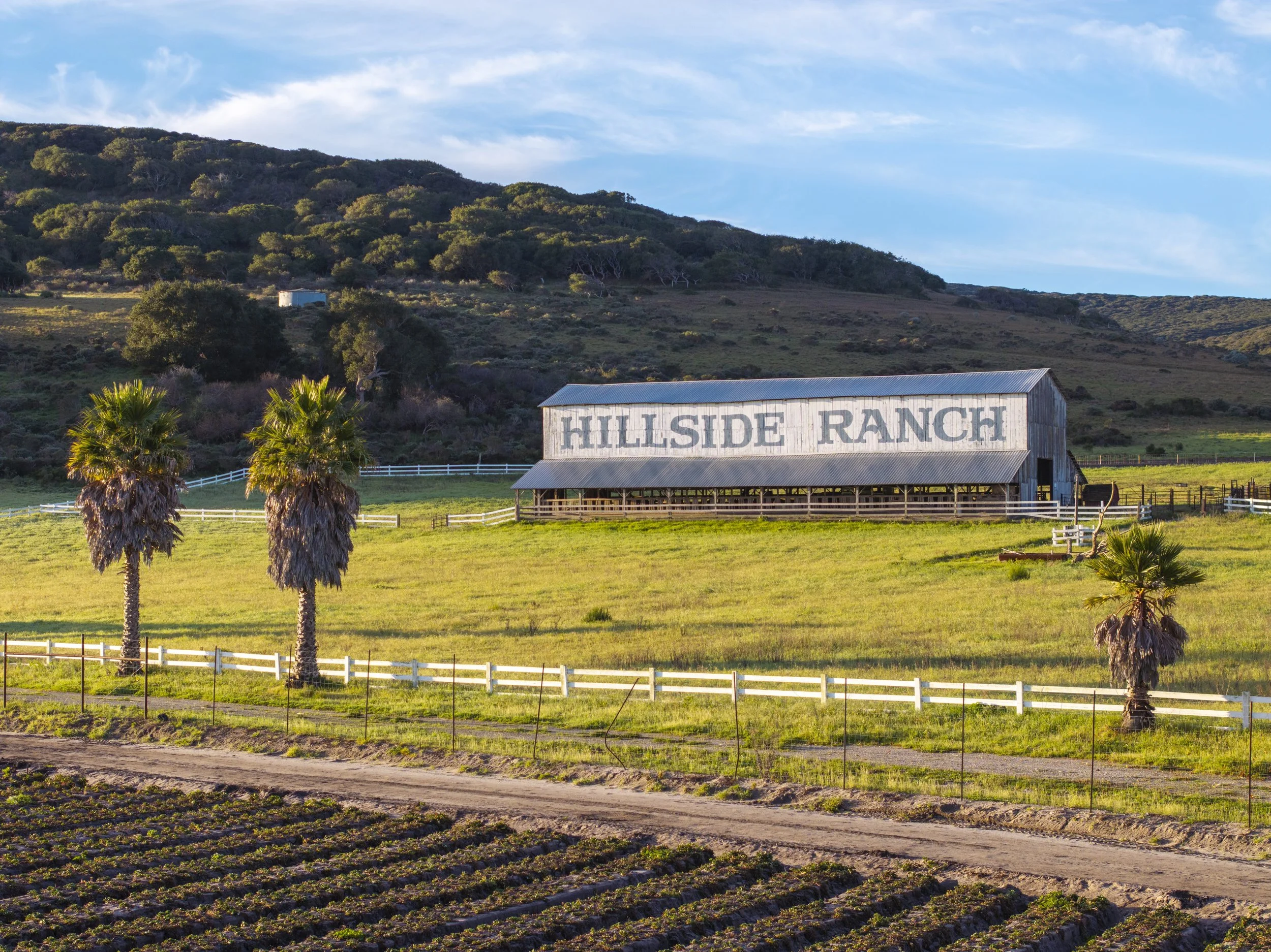 HILLSIDE RANCH | 4314 W OCEAN AVE, LOMPOC | ±123 ACRES | $3,200,000