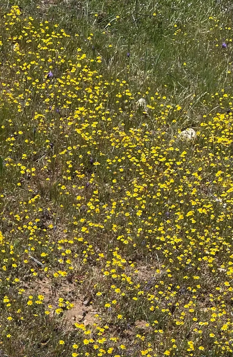Wetzstein Ranch — property photograph 32
