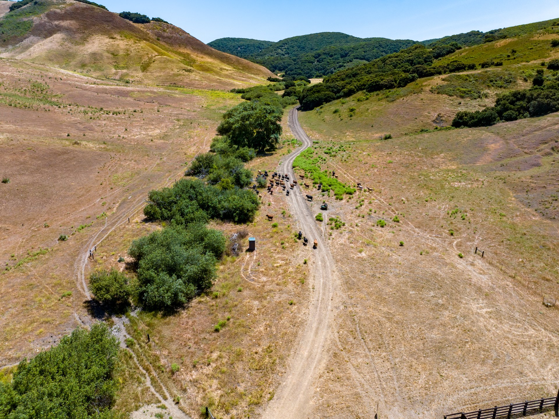 Ytias Ranch Web - 17.jpg