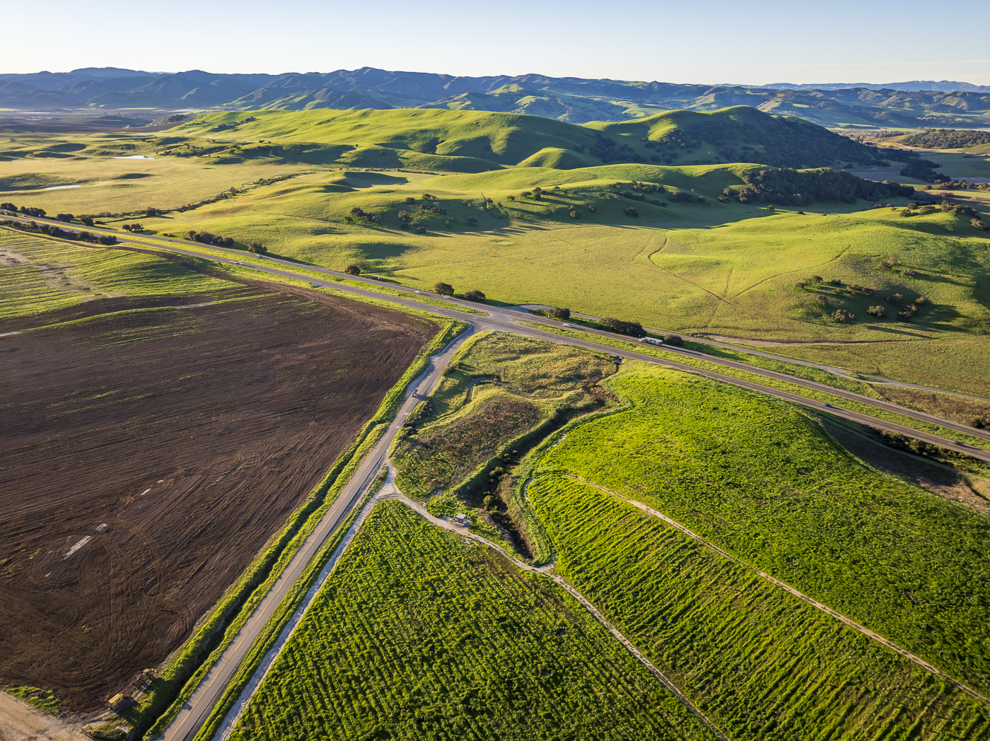 Loma Verde 2026 - Web-33.png