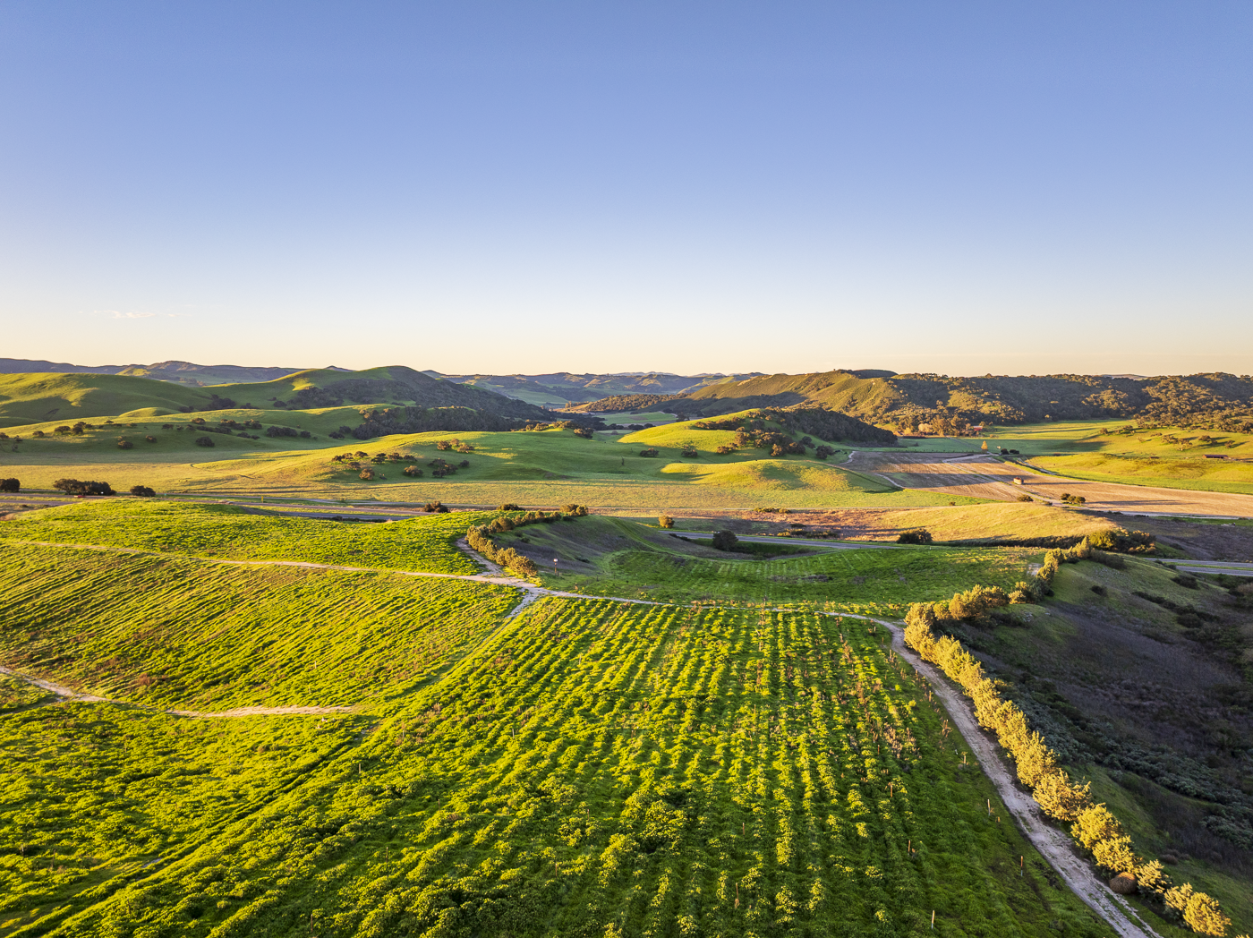 Loma Verde 2026 - Web-35.png