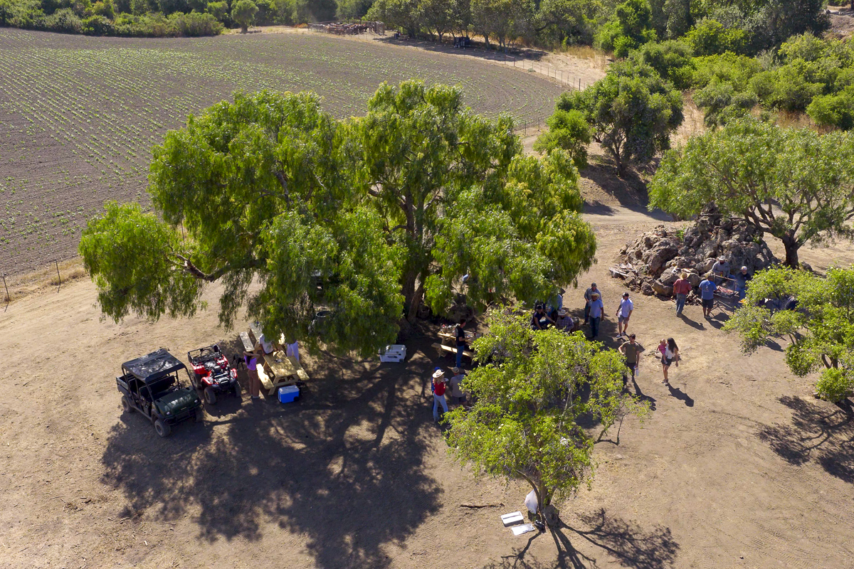 Big Bend Ranch - Working Country - Web-01.png