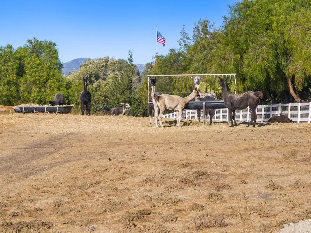Circle K Ranch — lower ranch & grounds photograph 137