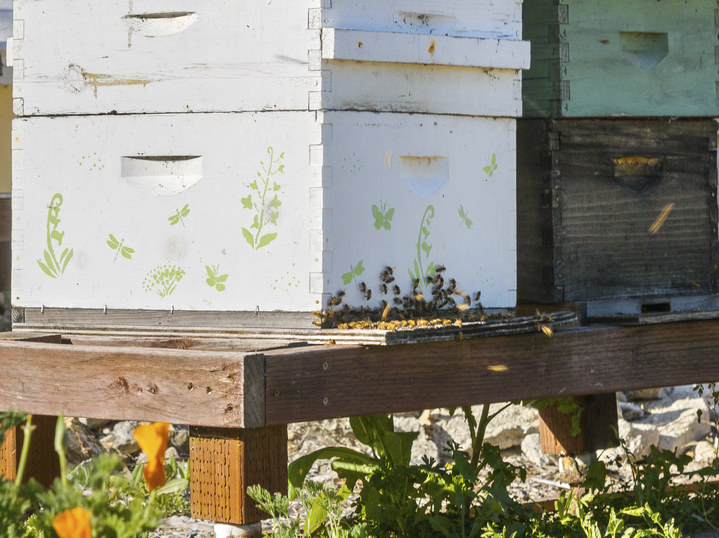 3226 Jalama - March 2026 - Web-65.png