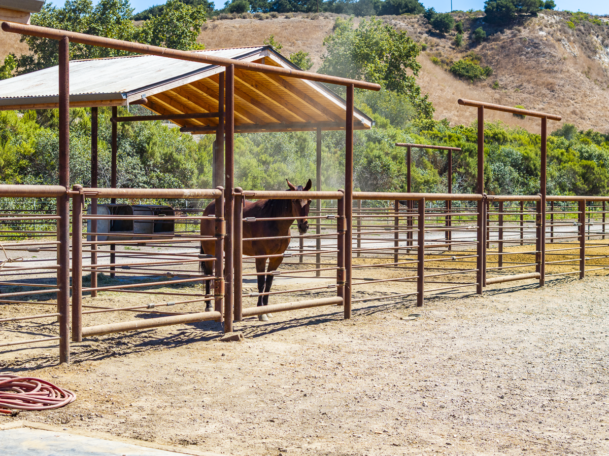 Big Bend Ranch - Built to Work - Web-16.png