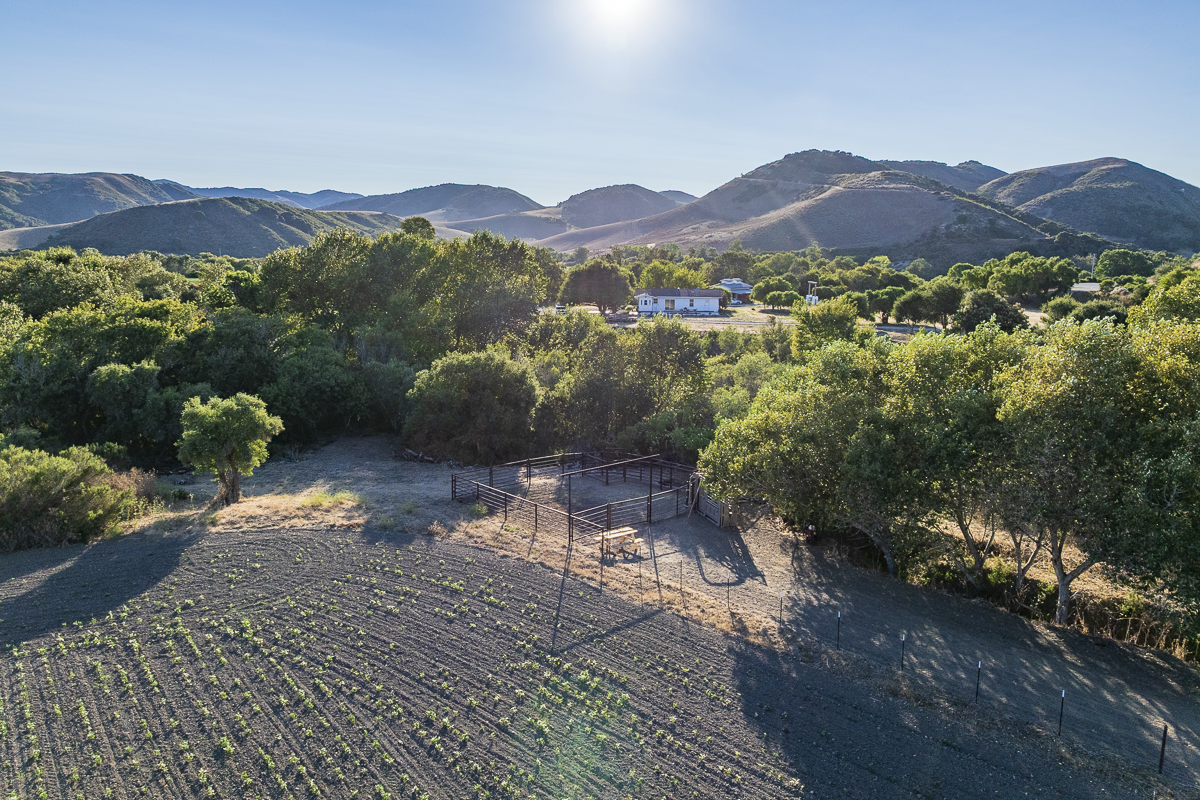 Big Bend Ranch - July 2026 - Web-092.png