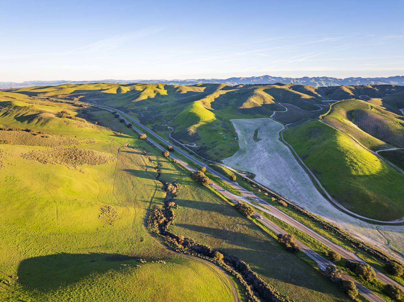 Loma Verde 2026 - Web-7.png