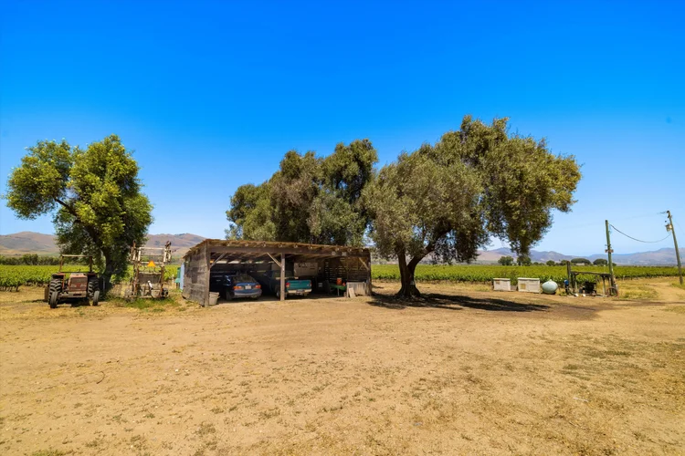 Goodchild Vineyard — property photograph 23