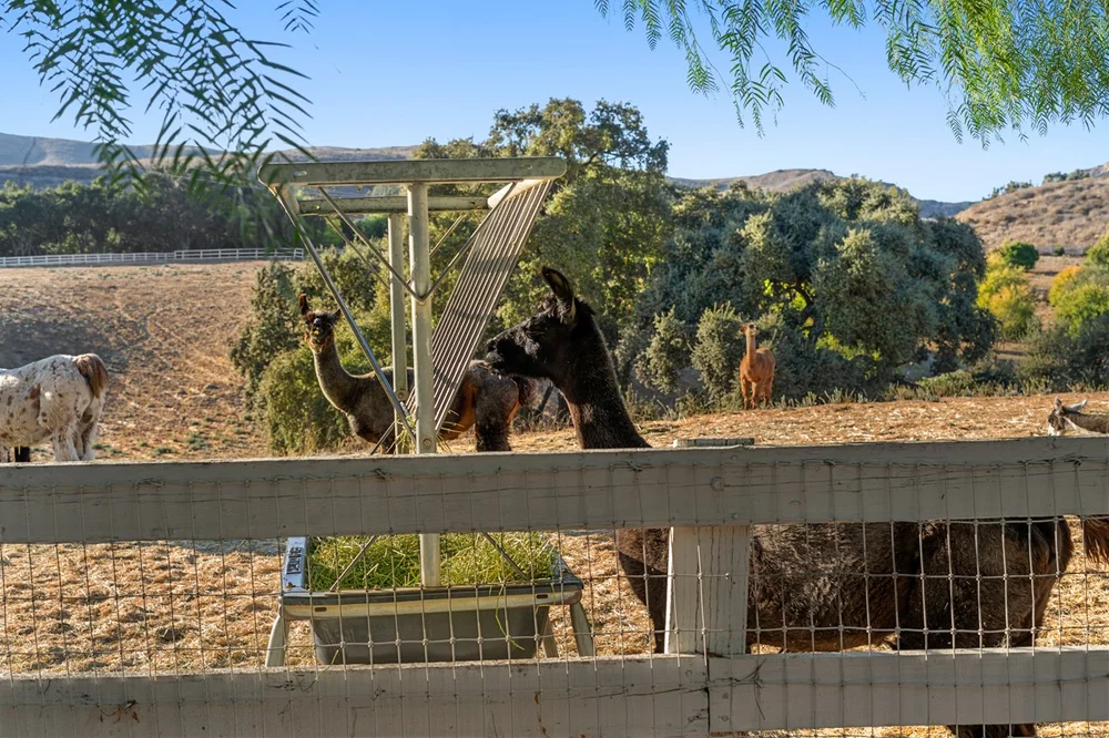 Circle K Ranch — lower ranch & grounds photograph 144