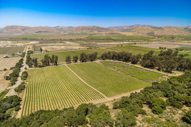Goodchild Vineyard — property photograph 12