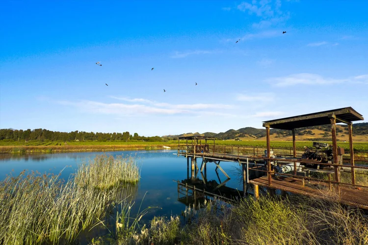 Carrari Vineyard — property photograph 17