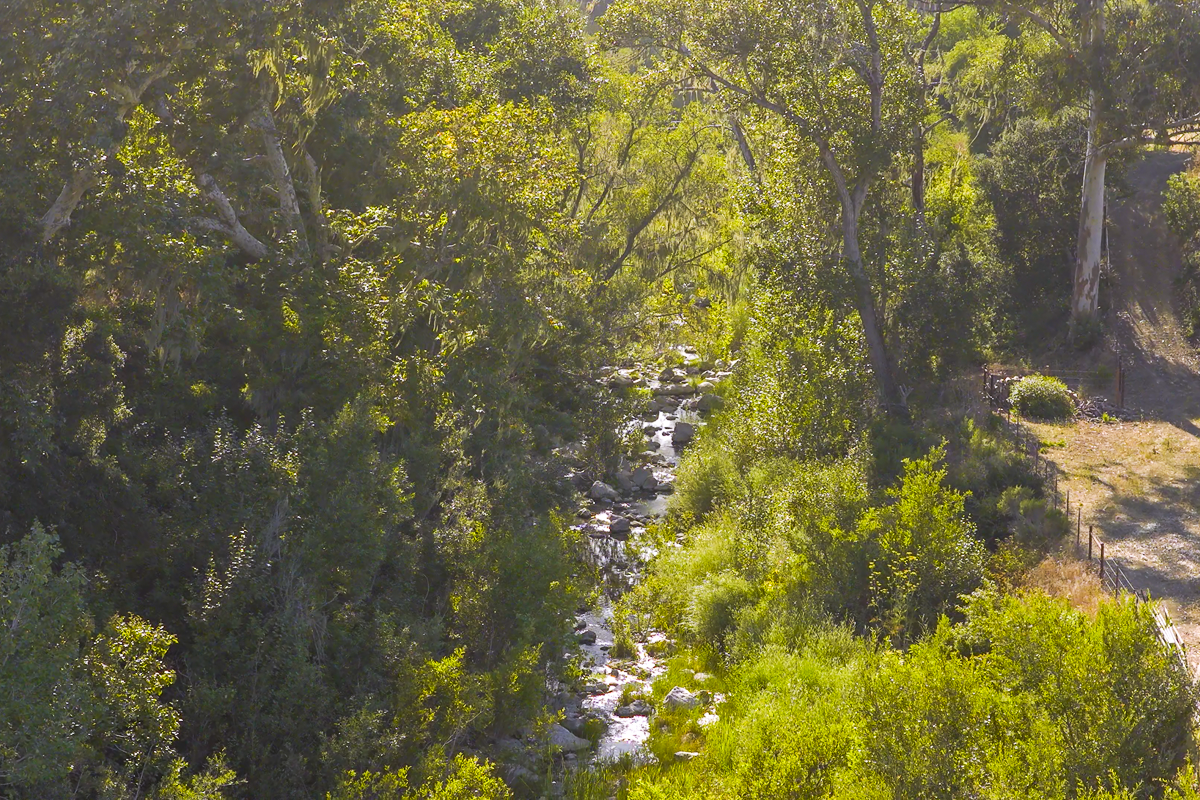 Big Bend Ranch - Ranch Land - Web-13.png