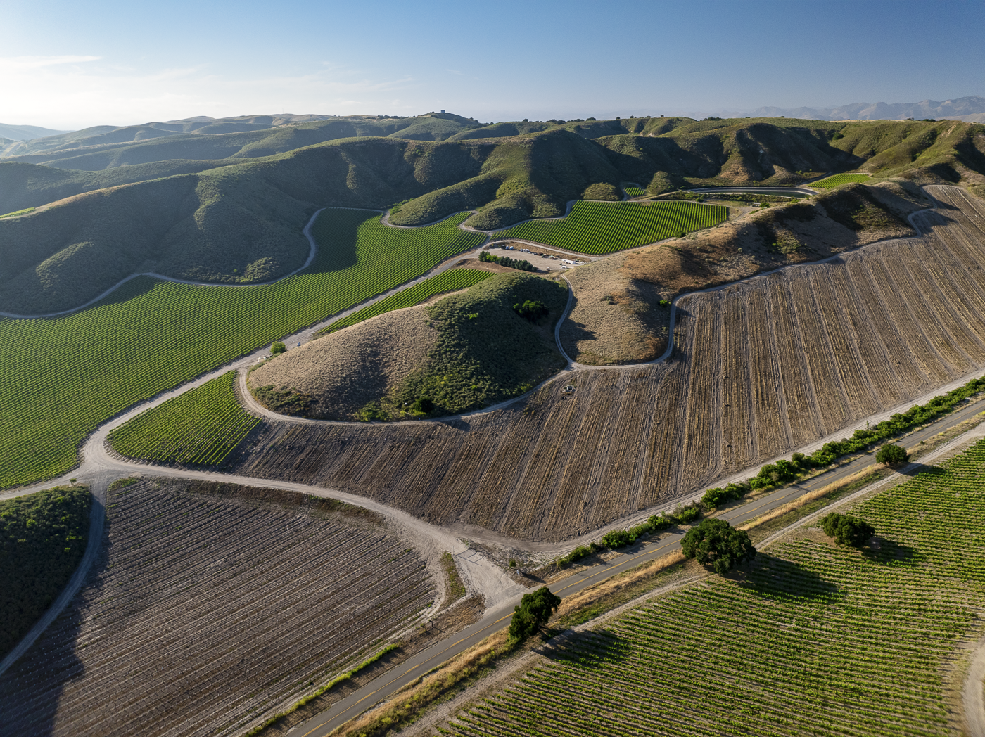 Loma Verde 2026 - Web-23.png