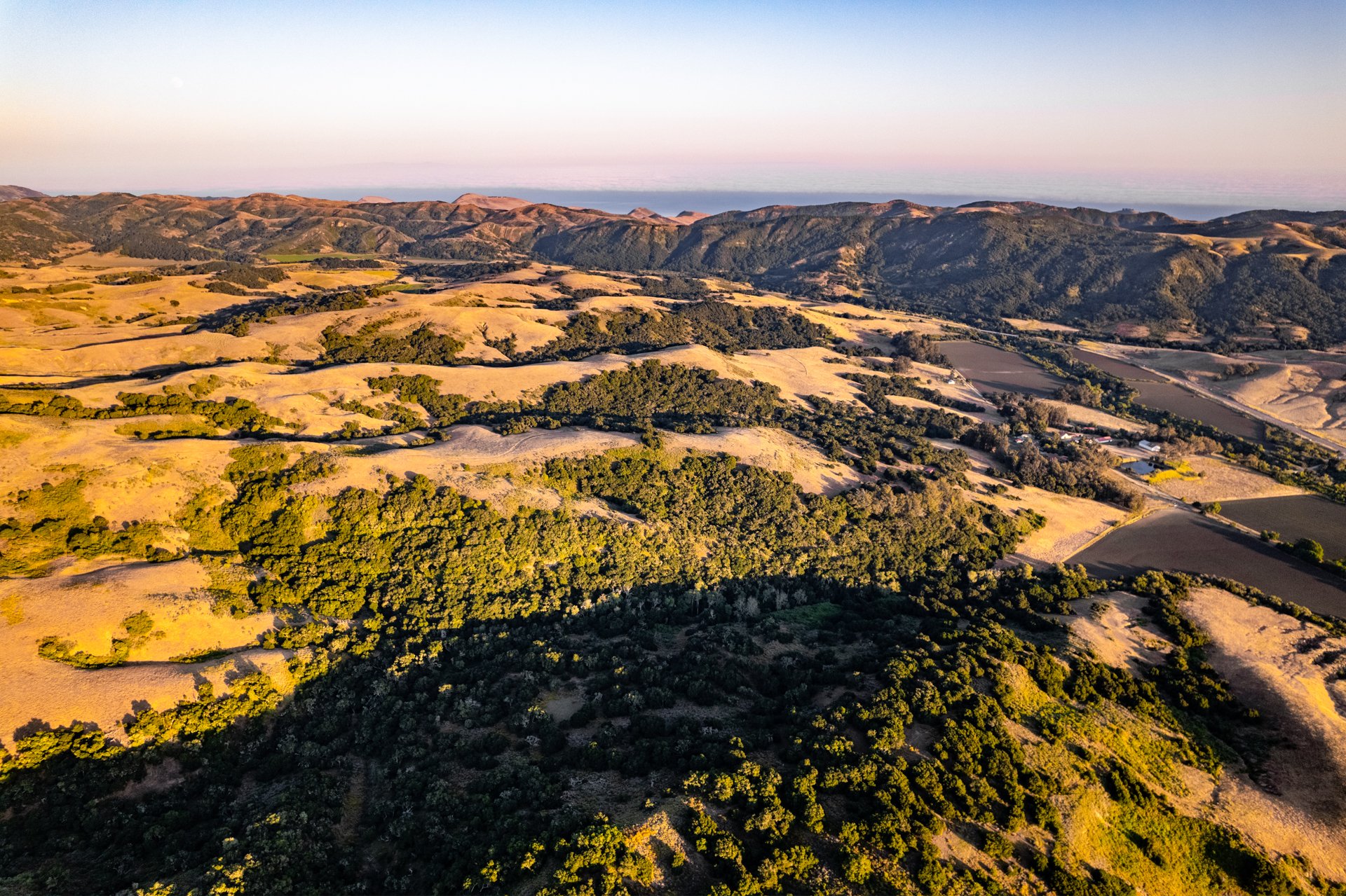 Ytias Ranch Web - 5.jpg