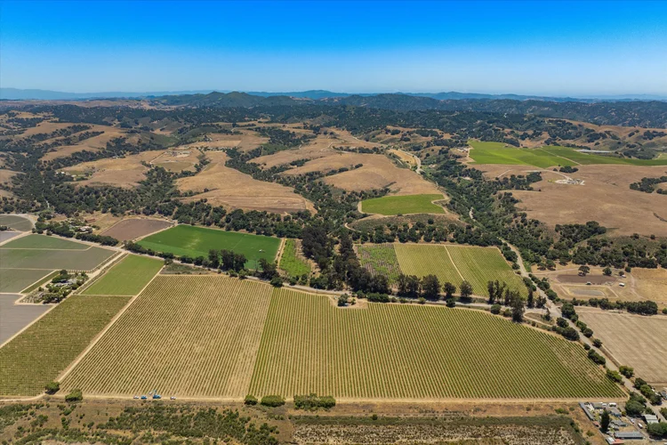 Goodchild Vineyard — property photograph 5