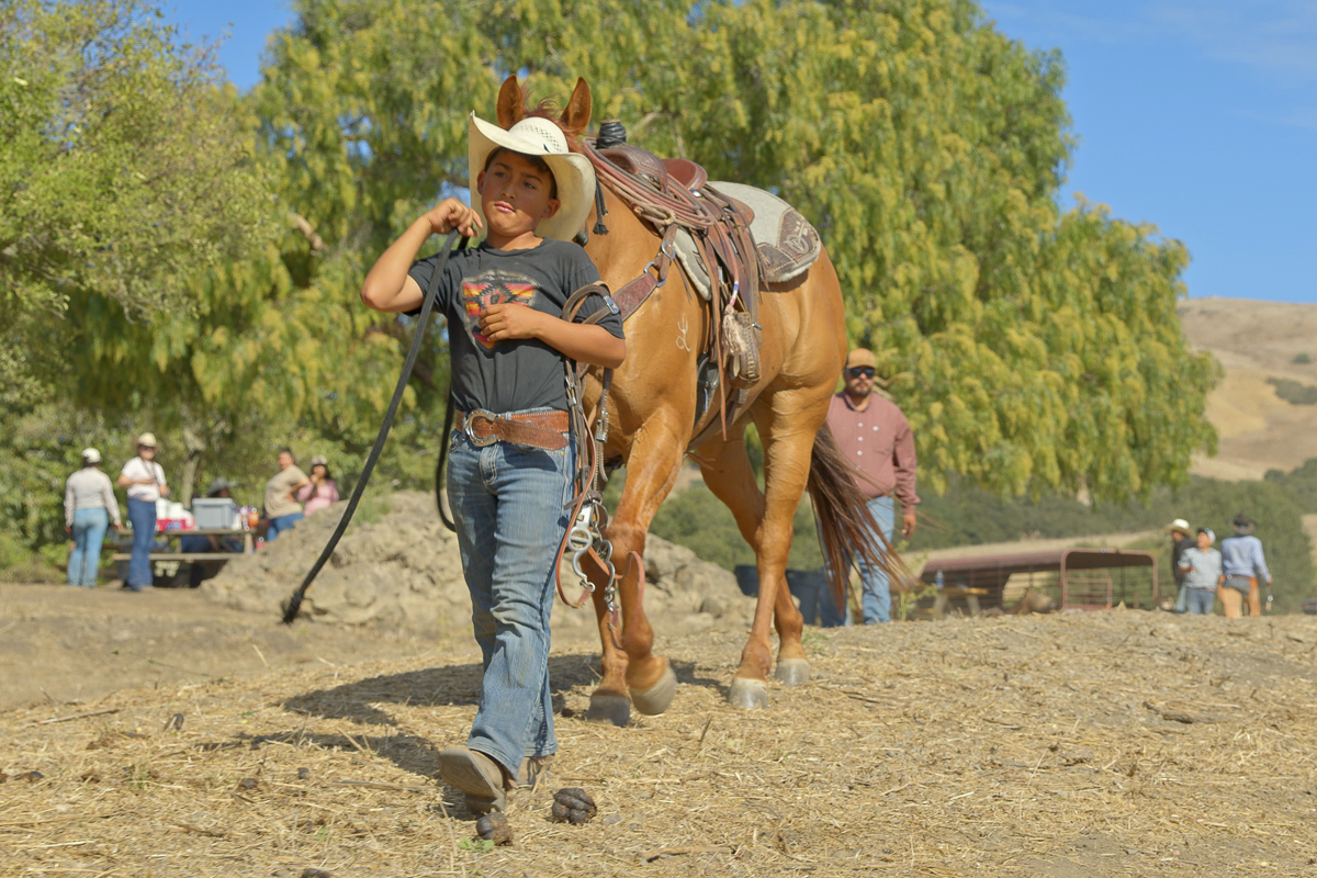 Big Bend Ranch - Working Country - Web-06.png