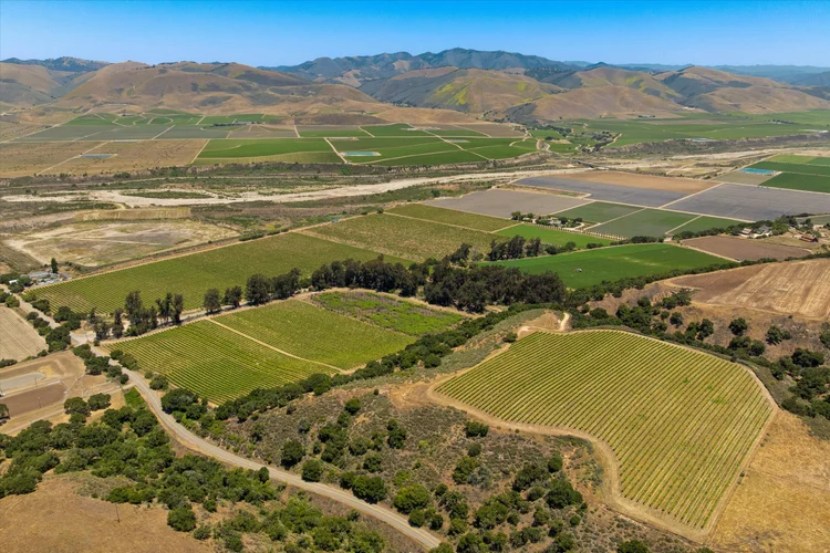 Goodchild Vineyard — property photograph 1