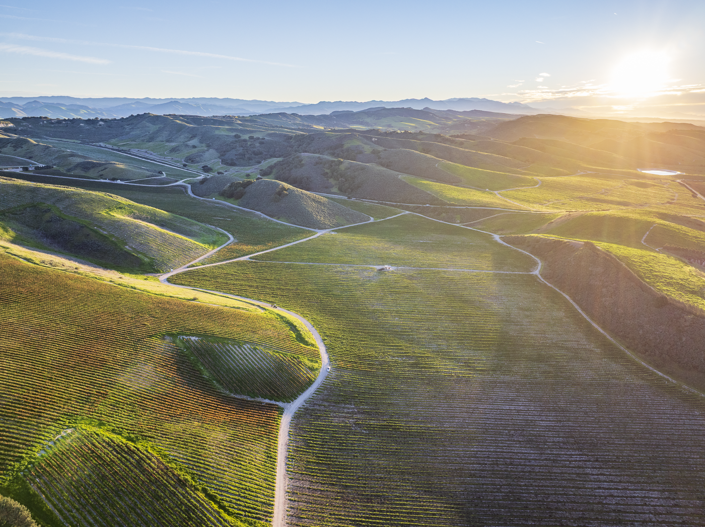 Loma Verde 2026 - Web-47.png