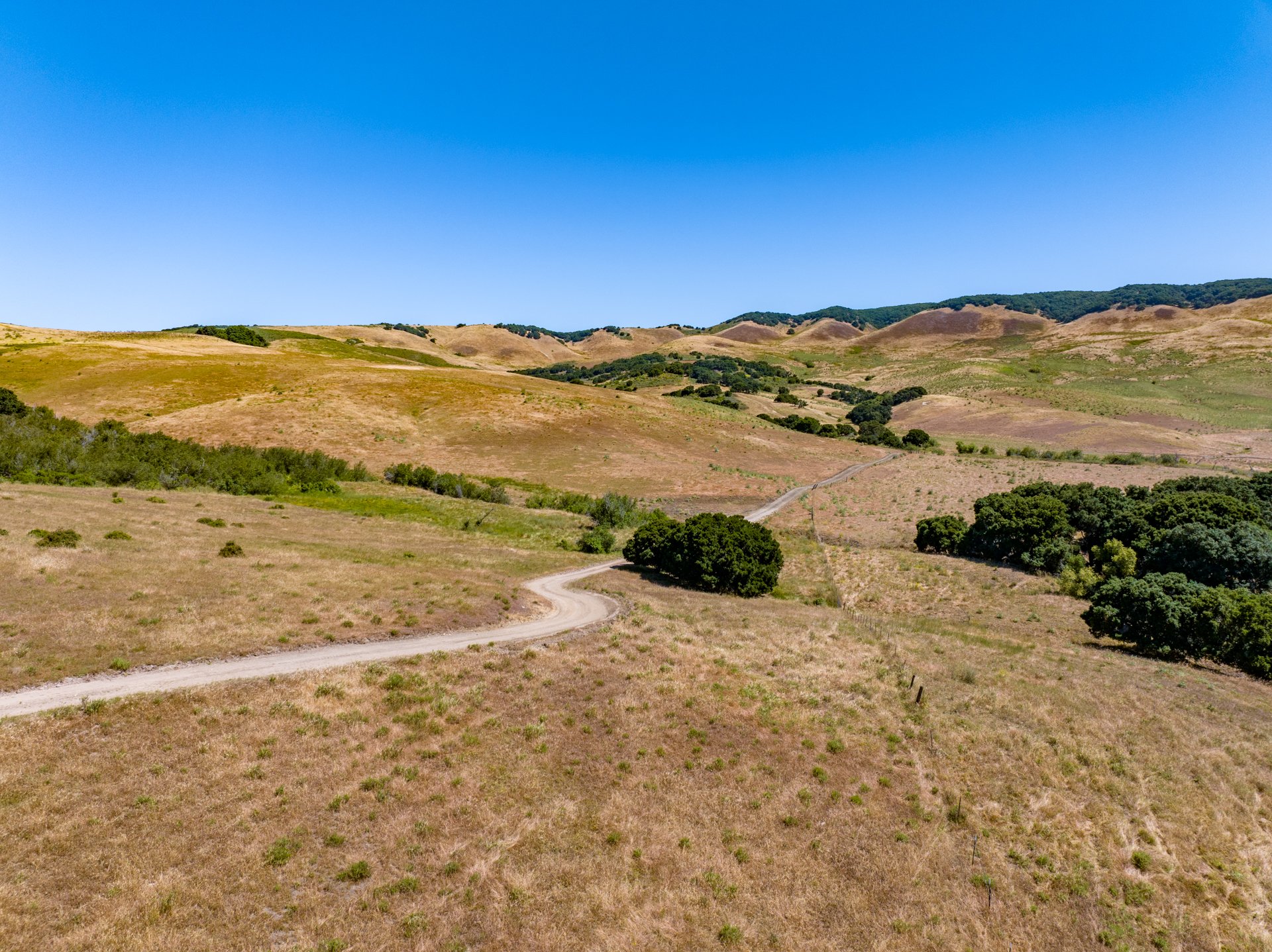 Ytias Ranch Web - 15.jpg