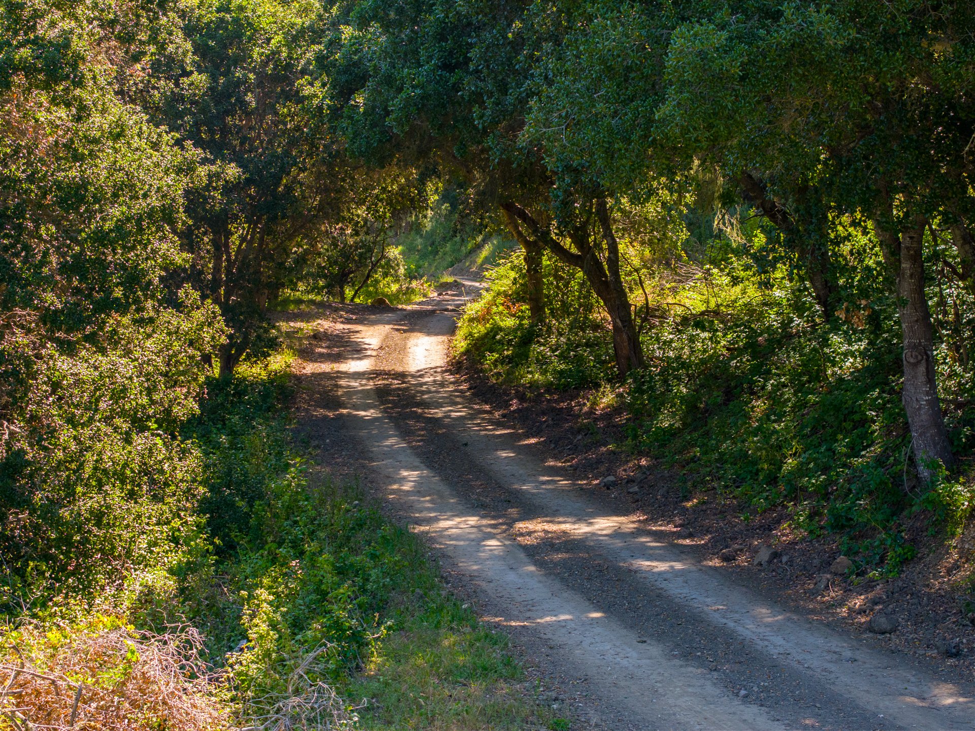 Ytias Ranch Web - 10.jpg
