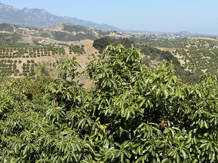 Rancho del Ciervo — property photograph 33
