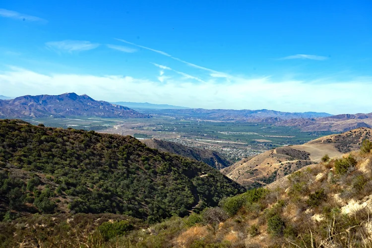 4 Oaks Ranch — property photograph 11