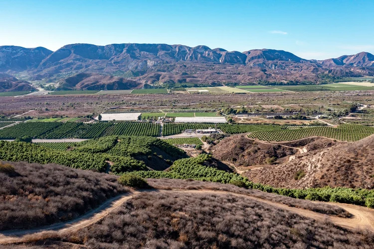 4 Oaks Ranch — property photograph 1