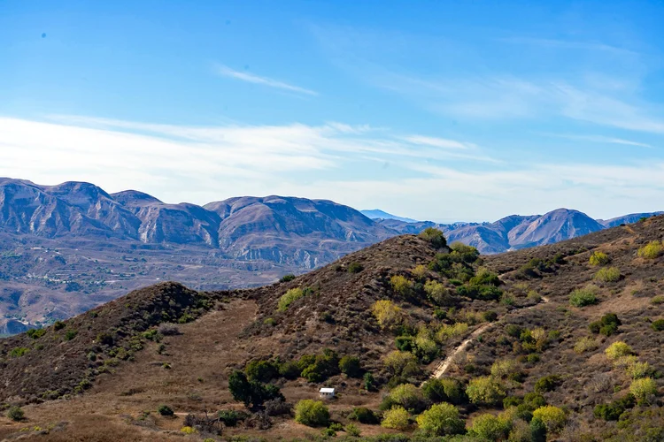 4 Oaks Ranch — property photograph 21