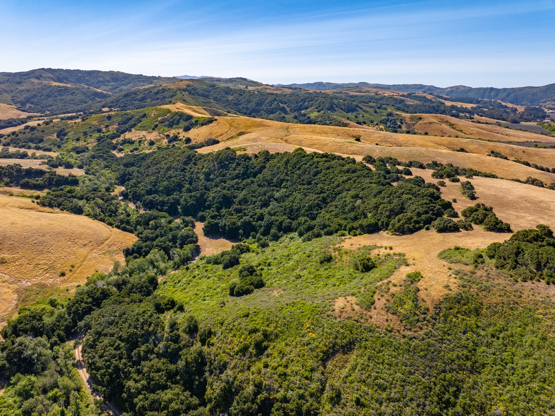 Ytias Ranch Web - 14.jpg