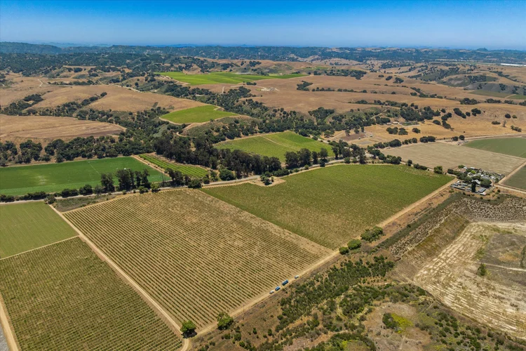 Goodchild Vineyard — property photograph 3