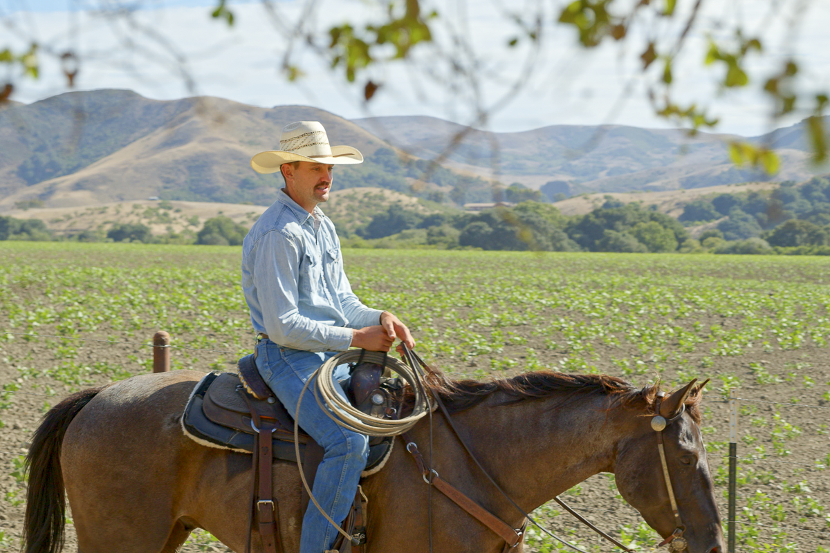 Big Bend Ranch - Working Country - Web-05.png