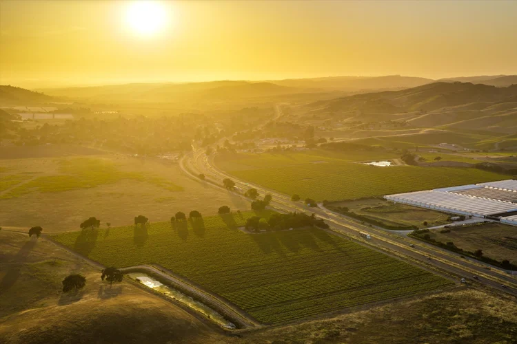 Ron’s Vineyard — property photograph 12