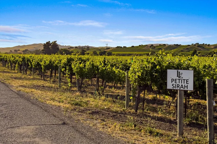 Carrari Vineyard — property photograph 22