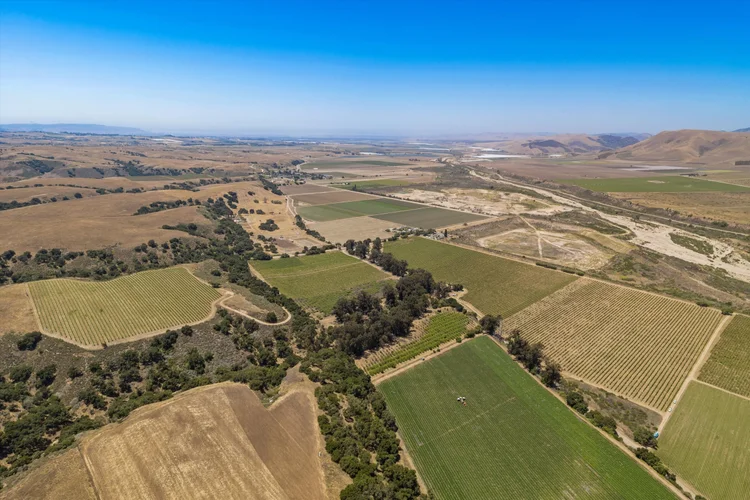 Goodchild Vineyard — property photograph 7