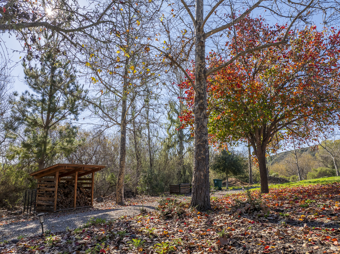 3226 Jalama - March 2026 - Web-84.png