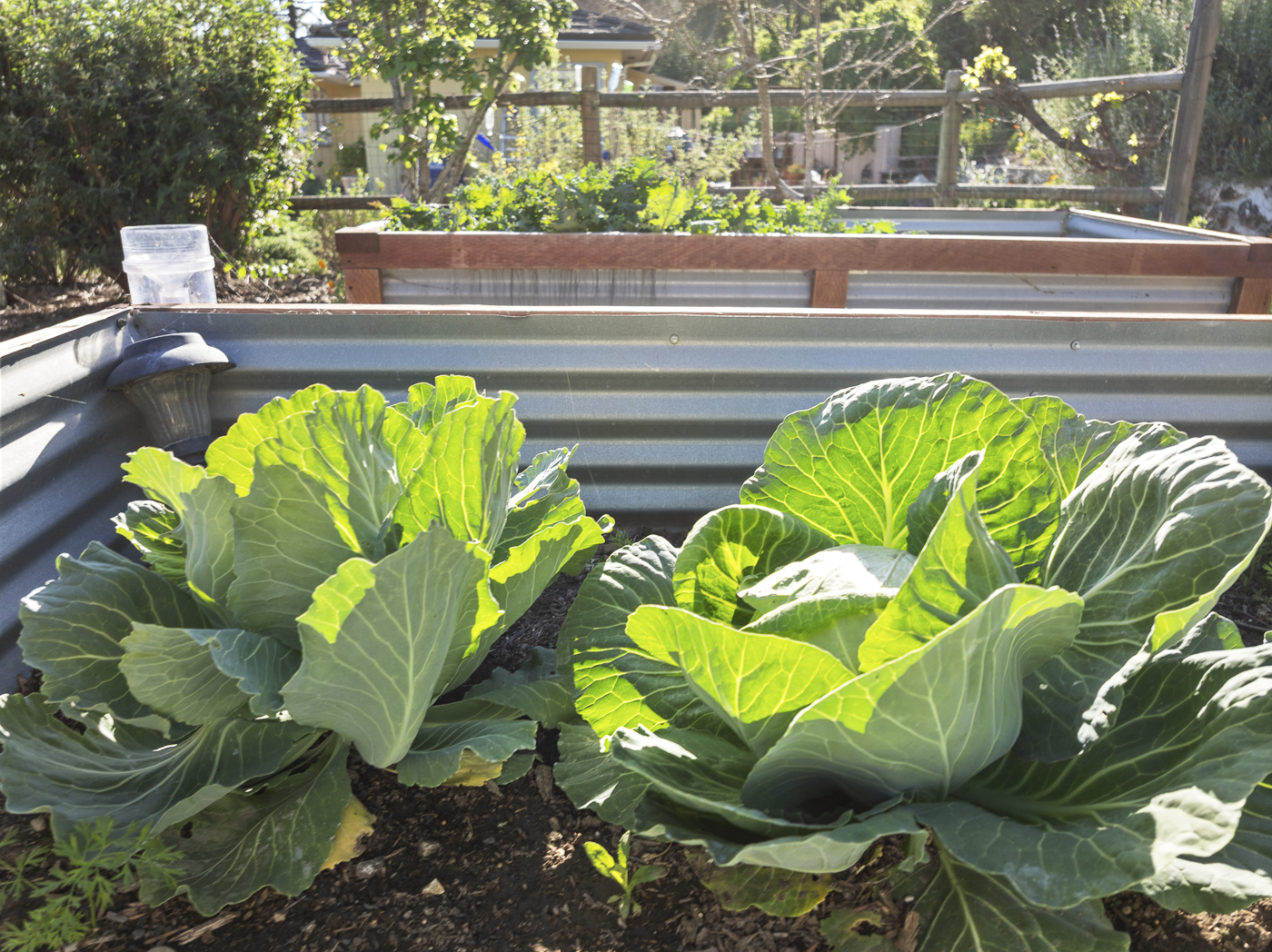 3226 Jalama - March 2026 - Web-47.png